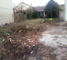 Terrain maintenant notre terrain s'arrete jusqu'a l'arbre derrierre le cerisier