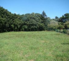 Notre terrain : plat d'une surface de 1000 m2 et des poussières...