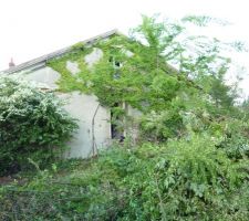 D&eacute;broussaillage