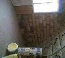 Les parpaings sont humides, l'enduit ext&eacute;rieur devra &ecirc;tre bien fait