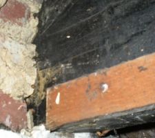 Liaison des pannes intermédiaires de droite.