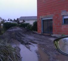 Terre v&eacute;g&eacute;tale livr&eacute;e, 16m3, arbres nettoy&eacute;s