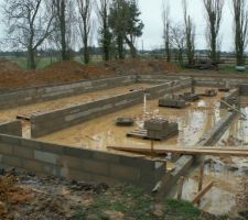 Vide sanitaire en cours