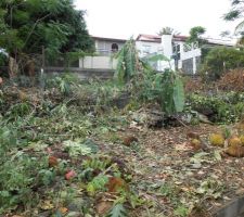 Terrassement en cours