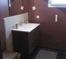 Nous avons refait la peinture salle de bain, cacao de Delux Valentine...