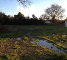 SuperSab31, je crois que l'on a les m&ecirc;mes voisins..