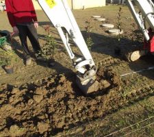 Préparation pour la plantation d'une haie de 36m de long de photinias