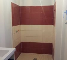 Fin fa&iuml;ence RDC