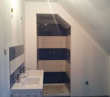 Fin fa&iuml;ence sdb 1er &eacute;tage ne pas se fier &agrave; la couleur c'est bleu nuit