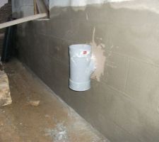 J51_pour que les lapins puissent faire des dunks !