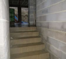 Escalier entre la cave et le garage imbibé d'eau