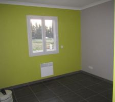 Chambre du grand frère.... peinture vert pomme et gris béton de chez dulux valentine