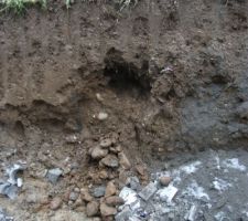 J53_le Coupable ! (drain agricole)