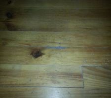 Parquet actuel par endroit bien abîmé