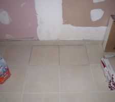 Remplacement des carreaux