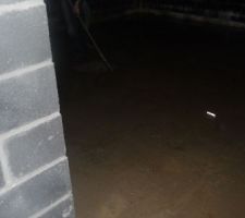 Eau dans la cave due à l?étanchéité défectueuse