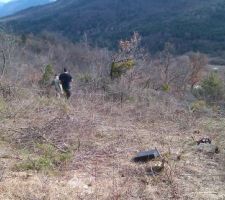 Défrichement en cours...