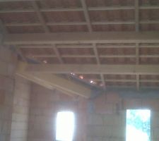 Charpente et plafond rampant du garage..