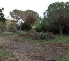 D&eacute;but des travaux, &eacute;lagage des arbres &agrave; abattre