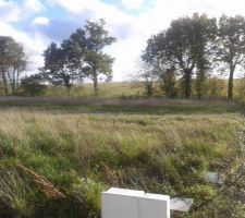 Vue de notre terrain