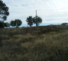 Petite photo du terrain.