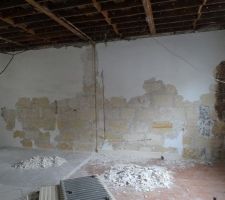 Recuperation mur pierre apparente vue g&eacute;n&eacute;rale