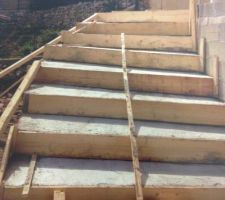 Escalier terrasse qui rejoint le jardin ou se trouve la piscine
