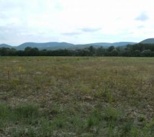 Point de vue sur la partie arrière du terrain qui est non constructible......Pas de futurs voisins !