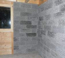 Mur en parement salon