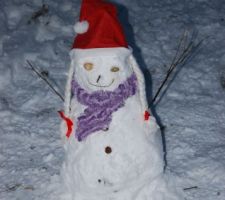 Mme de neige !!