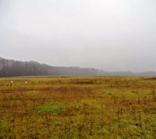 Notre nouveau terrain, entre les 4 plots blancs. Les 2 plots rapproch&eacute;s symbolisent le chemin d'acc&egrave;s.