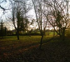 Petite vue de notre terrain, quelques arbres à abattre mais ça ira