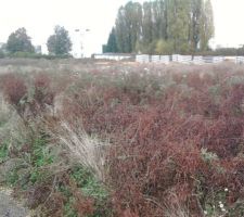 Voi&ccedil;i notre terrain