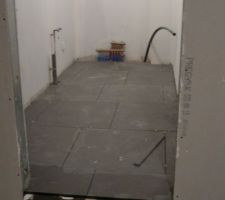 Cellier(toujours 2e jour de pose)