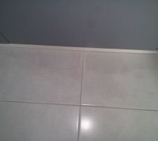 T&acirc;ches inconnues sur le carrelage qui progressent