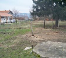 C'a y est nous avons commenc&eacute; l'abbatage de quelques arbres afin de faciliter le futur passage des camions