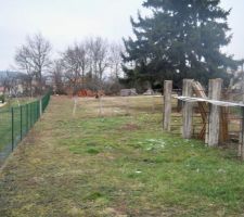 Abbatage d'arbres pour la future maison