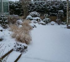 Jardin sous la neige