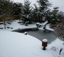 Bassin gelé sous la neige