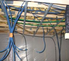 Plein de cables