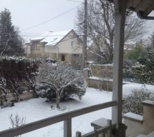 Havane dans la neige