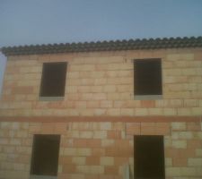 Rien de mieux que 2 rangs de vrai g&eacute;noises traditionnelles ma&ccedil;onn&eacute;es