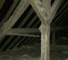 Ferme au dessus mur porteur cuisine