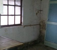 Pièce à l'est de l'annexe (prochain cellier)