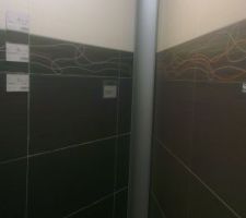 Sol marron, ainsi que 3 bandes murales. Le reste, blanc comme sur la photo de gauche.