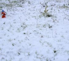 Monsieur Patate découvre la neige !