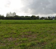 Vue du terrain apr&egrave;s bornage