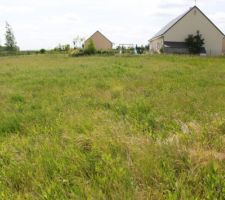 Visite du terrain