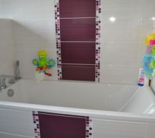 Exemple en photo d'un internaute avec la même faience