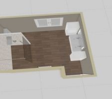 Second plan de la salle de bain